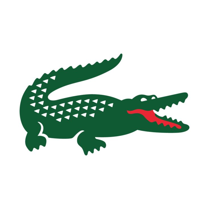 Crocodile